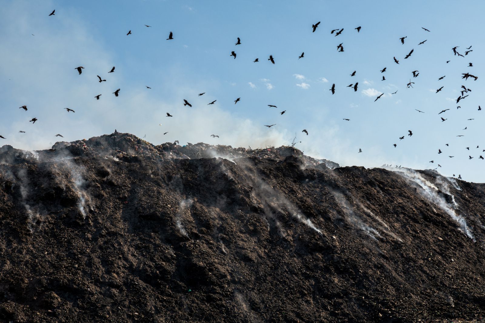 Site de compostage expert